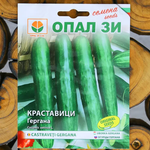 Gergana: Seed packet photograph